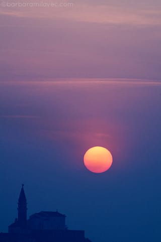 www.barbaramilavec.com