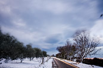 www.barbaramilavec.com