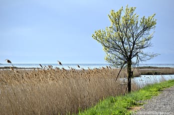 www.barbaramilavec.com