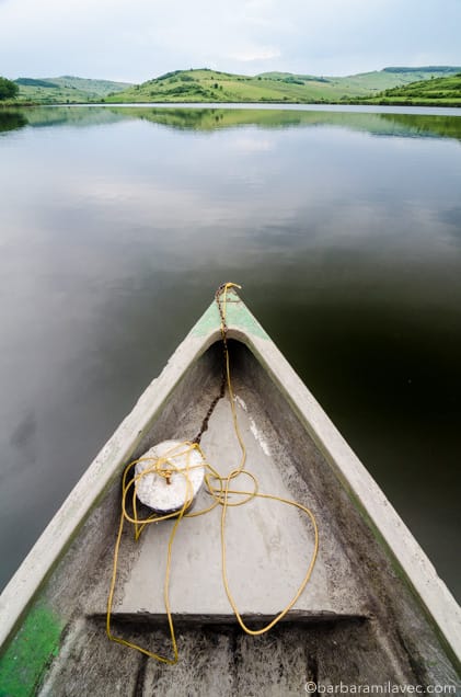 01-nature-conservation-photographer