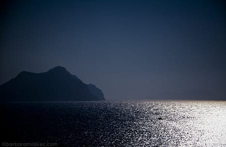 www.barbaramilavec.com