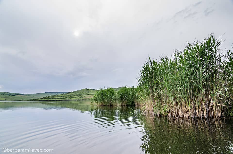 03-nature-conservation-photographer