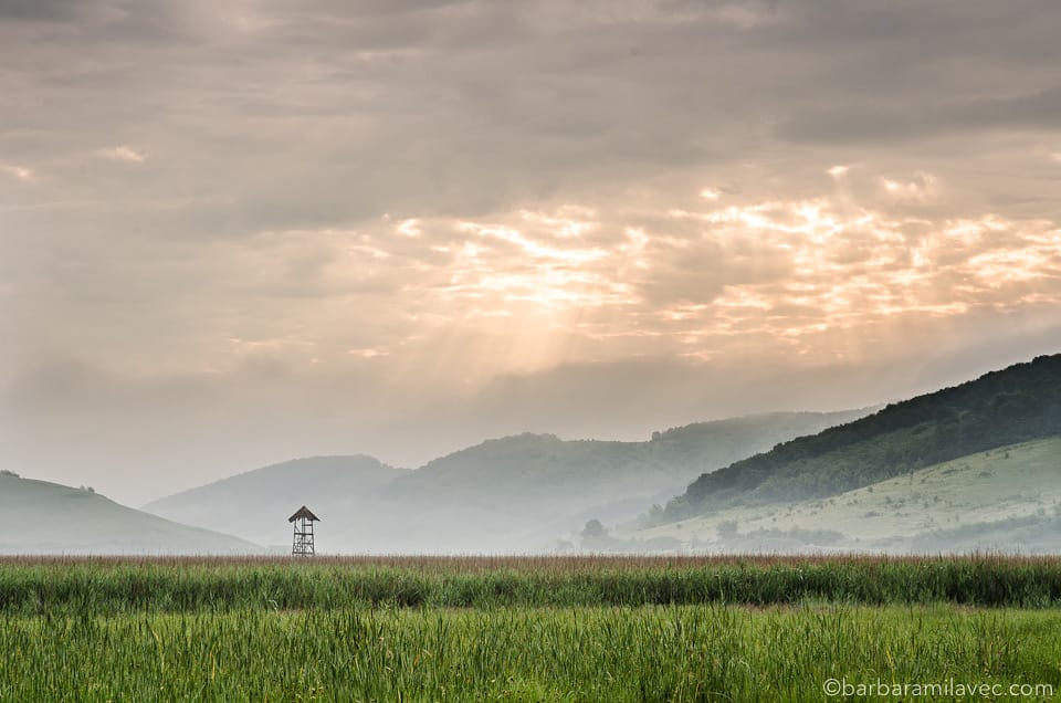 06-nature-conservation-photographer