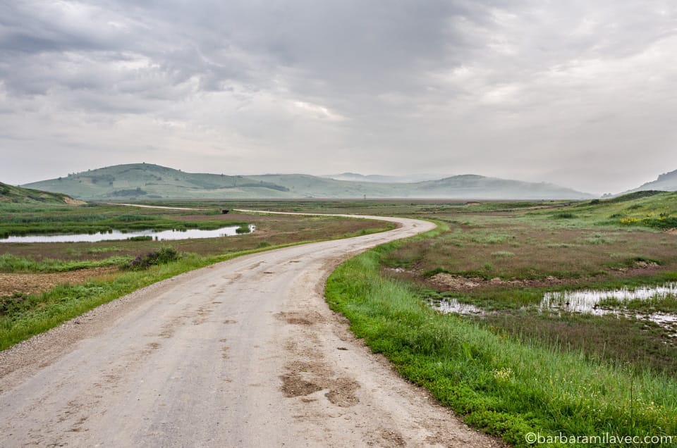 07-nature-conservation-photographer