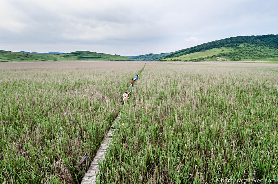 11-nature-conservation-photographer