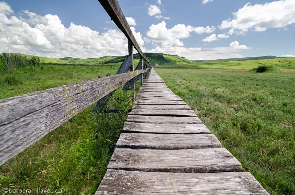 12a-nature-conservation-photographer