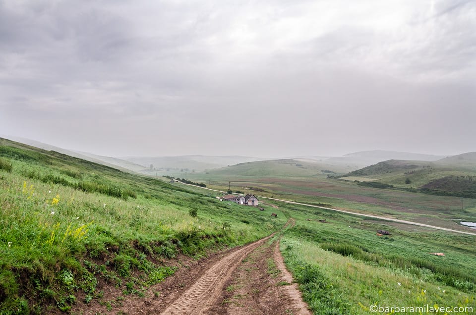 17-nature-conservation-photographer