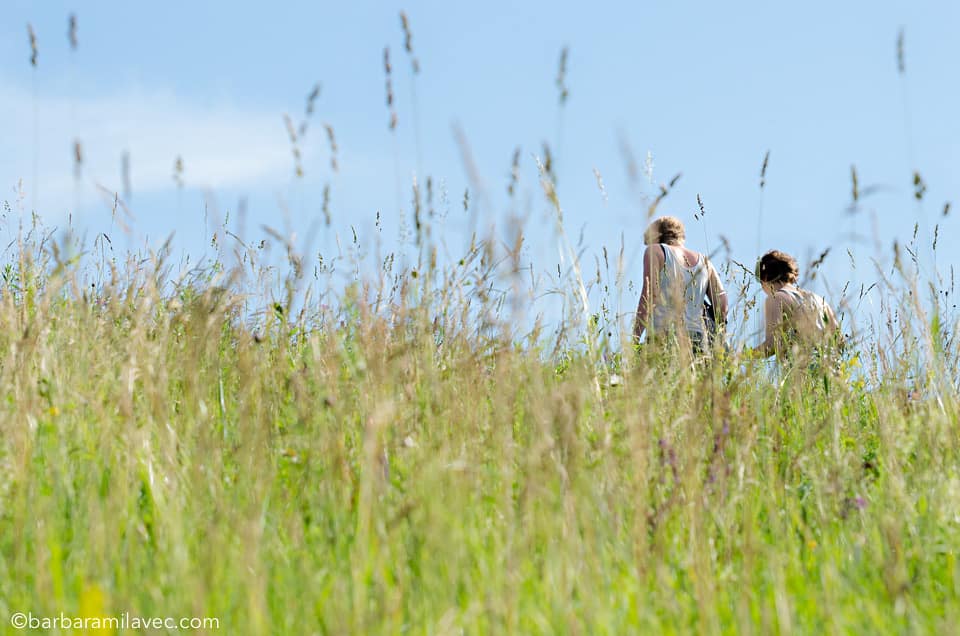31-nature-conservation-photographer
